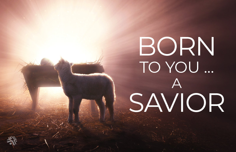 _2025-Carousel-Advent25 Born to You a Savior